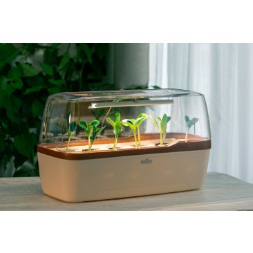 Romberg BoQube greenhouse & planter box system size L (1 piece = 1 unit) cream-copper