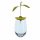 Romberg Avocado Kit, free-floating growing aid for avocado plants
 (= 1 Unit)